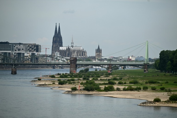 Bild vergrößern: Auch Köln beschließt Badeverbot in Rhein Bild vergrößern: Auch Köln beschließt Badeverbot in Rhein