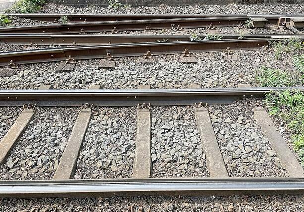 Bild vergrößern: Pro Schiene: Bahnstrategie soll auf Rendite durchs Netz verzichten