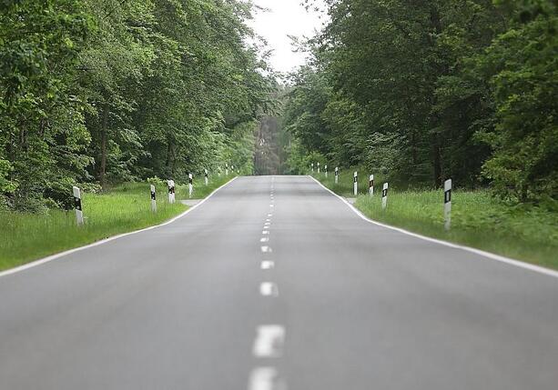 Bild vergrößern: ADFC will Tempo 70 auf Landstraßen ohne Radweg