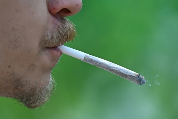 Bild vergrößern: Studie: Junge Menschen konsumieren deutlich mehr Cannabis als vor zehn Jahren