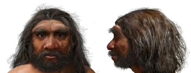 Bild vergrößern: Eine Million Jahre alter Schädel könnte Zeitachse der menschlichen Evolution verschieben