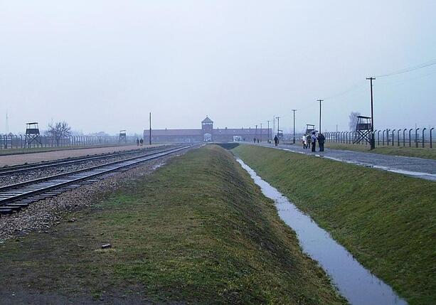 Bild vergrößern: Experten wollen frühere Holocaust-Aufklärung in deutschen Schulen