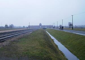 Experten wollen frühere Holocaust-Aufklärung in deutschen Schulen