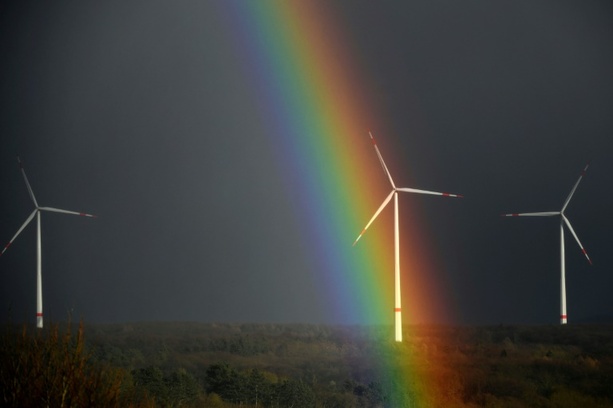 Bild vergrößern: Trotz Flaute zu Jahresbeginn: Erneuerbare dank Solarstrom weiter im Aufwind