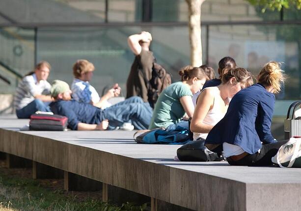 Bild vergrößern: Etwas mehr Beschäftigte an Hochschulen im Jahr 2024