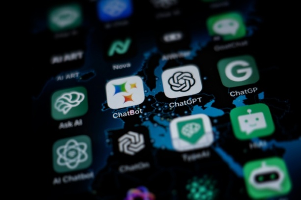 Bild vergrößern: Niederländische Behörden warnen Unternehmen: KI-Chatbots nerven Kunden