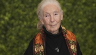 Zoologenverband trauert um Primatenforscherin Jane Goodall