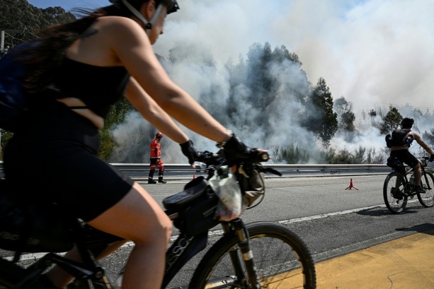 Bild vergrößern: Gesundheitsministerium: Spanien verzeichnete im Sommer 2025 fast 4000 Hitzetote