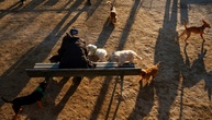 Gericht: Ausrutschen beim Gassigehen fürs Tierheim ist Arbeitsunfall