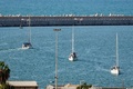 Alle Boote der Gaza-Hilfsflotte abgefangen - Israel: hunderte Festnahmen