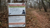 Zwei Tote mutmaßlich durch Bärenangriffe in Japan