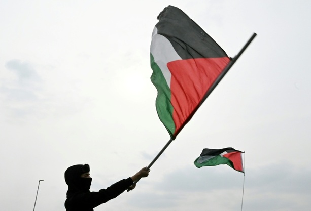 Bild vergrößern: Aktivisten der Gaza-Flotte aus Israel abgeschoben - Proteste in europäischen Städten