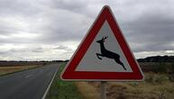 Jagdverband: Jeden Wildunfall der Polizei melden