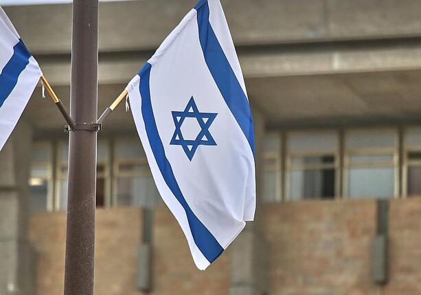Bild vergrößern: Linke plädiert für Ende der Rüstungskooperation mit Israel