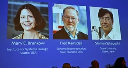 Drei Immunforscher aus den USA und Japan mit Medizin-Nobelpreis geehrt