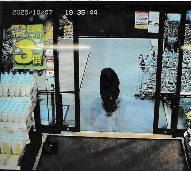 Bild vergrößern: Bär randaliert in Supermarkt in Japan und verletzt zwei Menschen