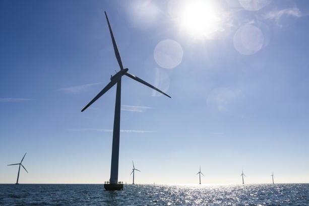 Bild vergrößern: Dänischer Windkraftkonzern Örsted streicht ein Viertel der Stellen bis 2027 Bild vergrößern: Dänischer Windkraftkonzern Örsted streicht ein Viertel der Stellen bis 2027