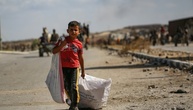 Gaza-Waffenruhe: Welternährungsprogramm fordert schnelle Hilfslieferungen