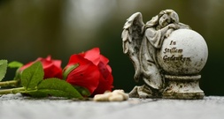Sterbefälle im dritten Quartal gesunken - Anstieg während Hitzewelle im Juli