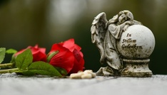 Sterbefälle im dritten Quartal gesunken - Anstieg während Hitzewelle im Juli
