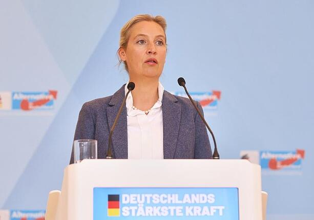 Bild vergrößern: Weidel sieht CDU als künftigen Partner