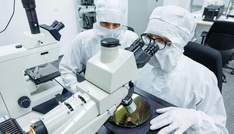 Unternehmen in Deutschland sorgen sich um Versorgung mit Computer-Chips