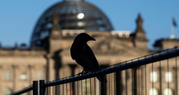 Merz hält Regierungserklärung im Bundestag - Debatte auch zu neuem Wehrdienst