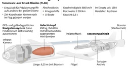 Ukrainischer Beamte: Tomahawk-Marschflugkörper Hauptthema bei Trump-Selenskyj-Treffen