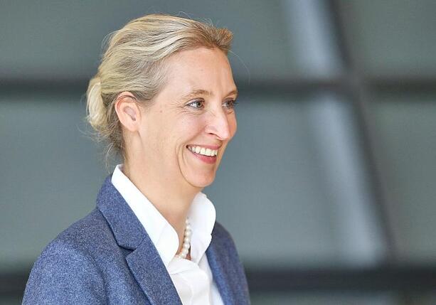 Bild vergrößern: Insa: AfD erreicht neuen Höchstwert in Sonntagsfrage Bild vergrößern: Insa: AfD erreicht neuen Höchstwert in Sonntagsfrage