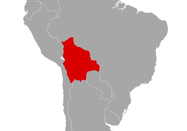 Bild vergrößern: Christdemokrat Paz gewinnt Präsidentschaftswahl in Bolivien Bild vergrößern: Christdemokrat Paz gewinnt Präsidentschaftswahl in Bolivien