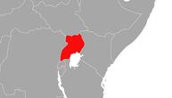 Niederländischer Außenminister macht Druck beim Uganda-Modell