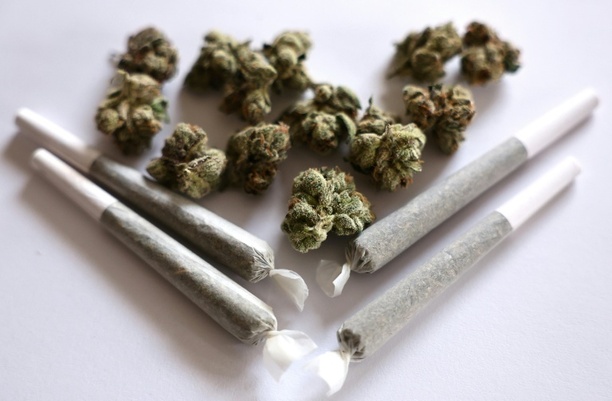 Bild vergrößern: Drogenbeauftragter Streeck fordert Rückkehr zu strengeren Cannabis-Regeln Bild vergrößern: Drogenbeauftragter Streeck fordert Rückkehr zu strengeren Cannabis-Regeln