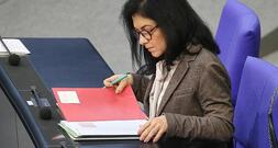 Beschwerde gegen Reiches Graskraftwerkspläne in Brüssel eingereicht