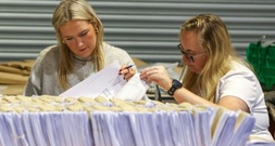 Linke Kandidatin Connolly gewinnt offenbar Präsidentschaftswahl in Irland