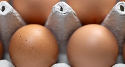 Gericht: Veganer Likör darf