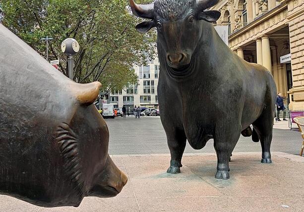 Bild vergrößern: Goldman Sachs beobachtet rückläufige Investitionen in Europa Bild vergrößern: Goldman Sachs beobachtet rückläufige Investitionen in Europa