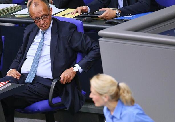 Bild vergrößern: Schwerdtner bietet Merz Hilfe bei Schuldenbremsen-Reform an Bild vergrößern: Schwerdtner bietet Merz Hilfe bei Schuldenbremsen-Reform an