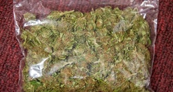 Besorgte Nachbarn überführen unbeabsichtigt Drogenhändler in Frankfurt am Main