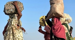 Sudanesische RSF-Miliz verkündet Festnahme von Kämpfern nach Gewalttaten