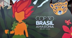 Weißes Haus: USA schicken keine ranghohen Vertreter zur Klimakonferenz COP30