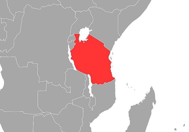 Bild vergrößern: Opposition in Tansania wirft Präsidentin Wahlfälschung vor