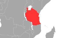 Opposition in Tansania wirft Präsidentin Wahlfälschung vor