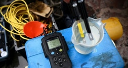 Unbekannte färben Wildbach in Oberbayern über hunderte Meter neongrün