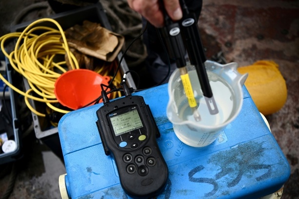 Bild vergrößern: Unbekannte färben Wildbach in Oberbayern über hunderte Meter neongrün