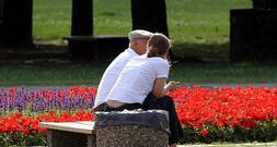 Studie: Flat-Tax-Erbschaftsteuer führt zu hohen Mindereinnahmen