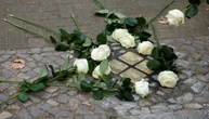 Bei Reinigung von Stolperstein in Hamburg: 71-Jähriger attackiert Frau antisemitisch