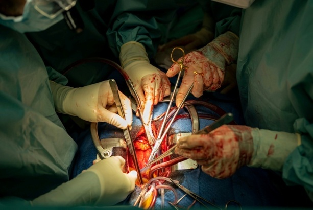 Bild vergrößern: Zahl der Organspenden in Deutschland bis Oktober leicht gestiegen