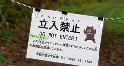 Japan will pensionierte Polizisten und Soldaten gegen Bären einsetzen