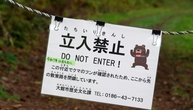 Japan will pensionierte Polizisten und Soldaten gegen Bären einsetzen
