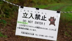 Japan will pensionierte Polizisten und Soldaten gegen Bären einsetzen